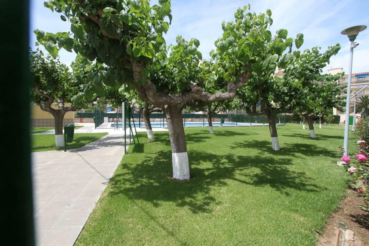 Carrer De Victoria Dels Angels, 11 Διαμέρισμα La Pineda Εξωτερικό φωτογραφία